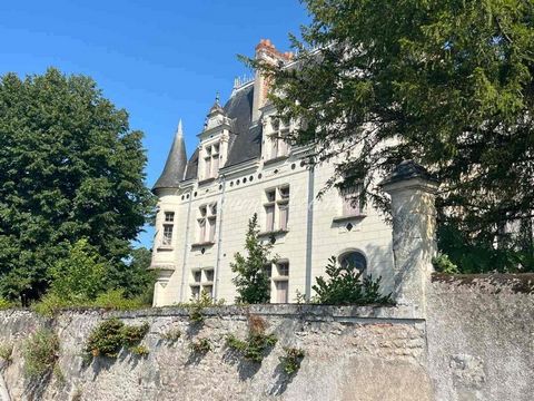 Authentique château du XVI° et de la fin du XIX° avec vue imprenable sur les bords de Loire. Édifiée en 1550 et remanié au XIX° par une famille historique de Touraine, exposé plein sud, 500 M² habitables sur trois niveaux, entouré d'un parc d'un hect...