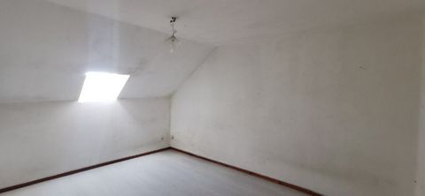 photo no. 6
