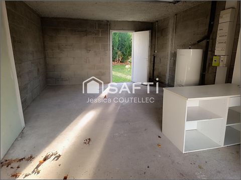 photo no. 6