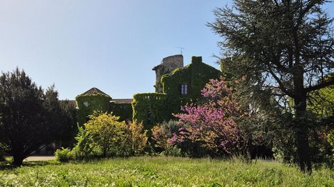 Aux portes d'Avignon, Château du XV ème siècle d'une surface hab. de 580 m² édifié sur 3 niveaux dans un parc arboré de 1 hectare dont une partie en indivision. Au rdc vous y découvrirez un hall d'entrée distribuant 4 bureaux dont 3 sont loués actuel...