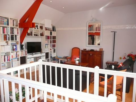photo no. 11