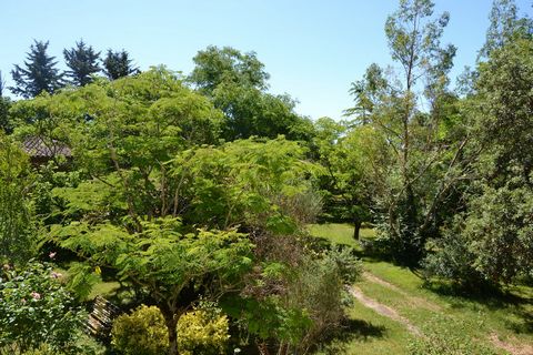 photo no. 11
