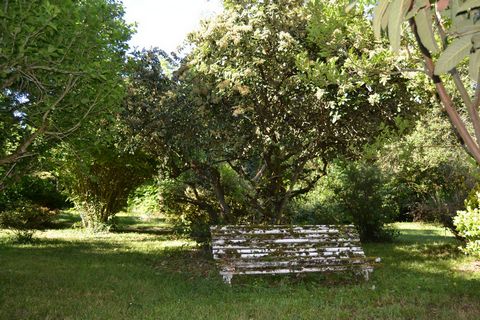 photo no. 19