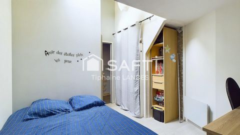 photo no. 6