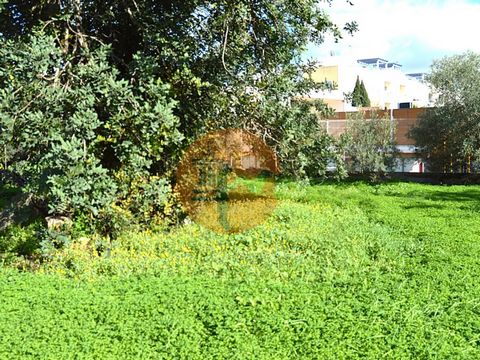 Stedelijke grond, gelegen in een van de meest gewilde urbanisaties in Tavira op dit moment. Op dit perceel kunt u uw droomhuis bouwen of zelfs een groot aantal appartementen met een kelder en 3 verdiepingen boven de grond. Naast deze ruimte kunt u te...