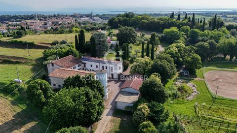 This agricultural company, located in Desenzano del Garda, represents a rare investment opportunity due to its hillside position with a view of Lake Garda, just a few minutes from the highway, the train station, and the lake itself. The property cons...