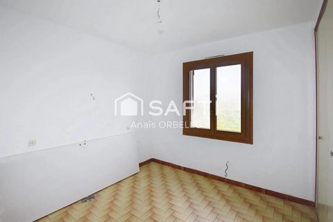 photo no. 4