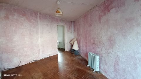 photo no. 8