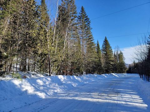 This beautiful and large wooded lot with mature trees could be your private domain or your farmhouse. It is located in front of a municipal street with electricity and snowplowed by the municipality in the heart of the village of Lantier and less tha...