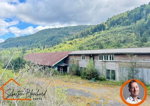 Bâtiment Industriel avec 16 000 m² de Terrain Constructible en Zone Industrielle