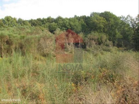 For sale Land with 2800m2 in Aboim da Nóbrega, Vila Verde! Plan; Excellent location; Great sun exposure! We take care of your home loan, without costs or bureaucracies. INOVA Imobiliária is a credit intermediary authorised by Banco de Portugal with r...