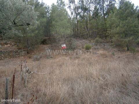 Interesting land with trees and olive trees 8 minutes from Castelo Branco! Come and schedule your visit! Excluded from the SCE, under Article 4 of Decree-Law No. 118/2013 of 20 August.
