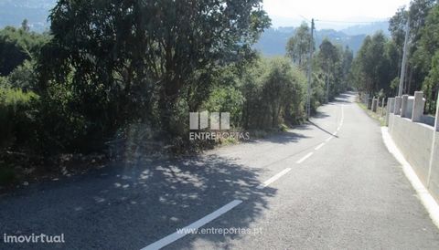 Land for sale with an area of 15 500 m2, ideal for agricultural and/ or forestry. This terrain has some slope, presenting some terraces and some flat parts. It has its own water in abundance, good access and great sun exposure. Located near the Douro...