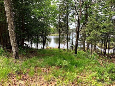 WATERFRONT! Want to build on a lakefront at a reasonable price? Here's your chance! 105,000 sqft lot with access road already laid out and dock in place. No services, but a septic tank, a well and a solar system for electricity are required. Road mai...