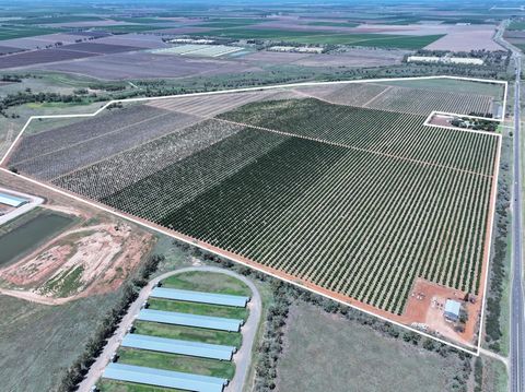 FARM 1058B Kidman Way, Hanwood NSW 2680 101* Hectares | 249* Acres | 780 Delivery Entitlements Cappello & Co Property is delighted to be appointed to present Farm 1058B to market. A developed citrus orchard 15 Minutes from Griffith CBD in the Riverin...