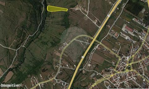 Lote de terreno rústico com 12.120m2, localizado perto da vila de Montelavar, concelho de Sintra. Ideal para cultivo e/ou pastagens. Acesso a EN9 próximo do terreno. Nota no mapa este terreno está representado como 114