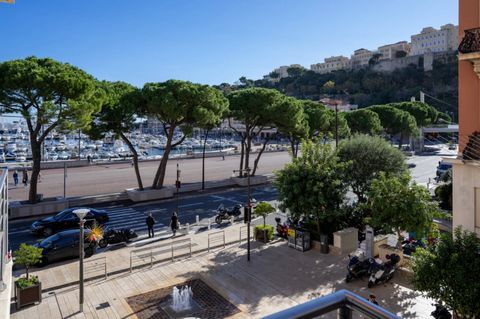 A beautiful 2 bedroom apartment for mixed use (home or office), located on the 1st floor of the “Le Petrel” building, a modern residence with elevator, ideally positioned on the only pedestrian street in the Principality. Bright, refined, delicate - ...