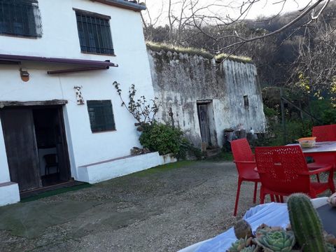 Wonderful rustic property for sale in Jubrique - Valle del Genal - Serranía de Ronda, Malaga. It has a topographic extension of 4.5 hectares of chestnut, walnut, cherry, plum, olive and other fruit trees. The farm has a beautiful 106m2 rural house, w...