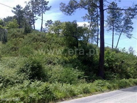 Land with 6,000 m2 in Cabeceiras de Basto Land with: 6,000 m2; Road front; Good sun exposure. Buy with ERA Fafe ERA Fafe opened its doors in 2005 and built an upward path that is now recognized by the local and national market. Guided by maximum cust...