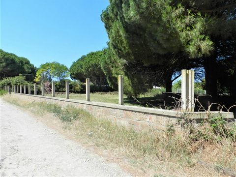 A stone's throw from the sea, in the San Giorgio area, we offer for sale a plot of land of 1000 m2. The land, with direct access from the main road, is flat and irrigated with a private well.