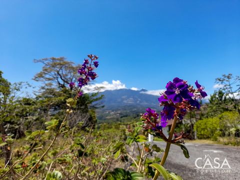 This stunning land for sale in Jaramillo, Boquete, is an impressive 1.47 acres (5960 square meters) and offers unparalleled views of the majestic Volcan Baru. The lot is strategically situated to ensure uninterrupted views while minimizing the sight ...