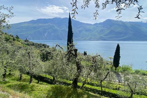 Vakantieresidentie met 6 mooie vakantieappartementen in Limone op een prachtige panoramische locatie. Omgeven door een olijfgaard, ligt het op slechts ongeveer 900 meter van het centrum, midden tussen de citroenboomgaarden en met een schilderachtig u...