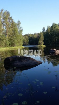 1696903 Продается участок ИЖС 15 соток. Хвойное примечательно близостью к берегу реки Вуоксы и живописными ландшафтами на остатках финских хуторов. В поселок ведет грунтовая дорога, от шоссе на поселок Мельниково нужно проехать 4 км, до нашего участк...