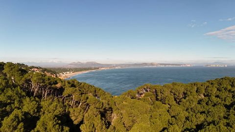 BARNES presenteert 4 stedelijke percelen gelegen in het hart van de Costa Brava met prachtig uitzicht op de natuur en de zee. Twee van de percelen meten respectievelijk ongeveer 1.500m2 en 1.450m2 met een prijs van 300.000€ per stuk. De andere twee p...