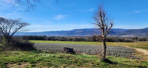 Corps de ferme en pierres à rénover