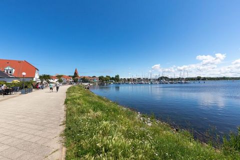 This pet-friendly apartment in Teßmannsdorf has 1 bedroom and hosts a small family of 2 comfortably. It has heating, terrace, and barbecue for a pleasant stay. Enjoy a dip in the natural beach of Salzhaff at 2 km. The beach is perfect for water sport...