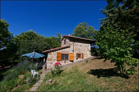 This traditional cottage is situated in Seggiano and is excellent for spending a holiday in Italy. Ideal for a family, there is 1 bedroom and can accommodate 3 guests. This stay has a private terrace and private furnished garden for you to enjoy the ...