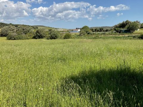Land plot of 16.570 sqm consisting of urban parcel and agricultural land in Cotifo, Odiaxere. Urban parcel of 640 sqm with an old single storey country house and a larger storehouse. Agricultural land of 15.930 sqm with water supply in close range pr...