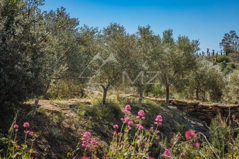 A veritable Provencal postcard of olive groves, vineyards and lush vegetation surrounding an imposing, charming bastide. Confidentiality agreement required. Contact us for a visit and a personal selection of alternative properties. We offer a full se...