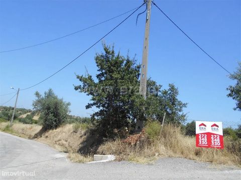 Irrigated land with good access. It has good views and electricity nearby.