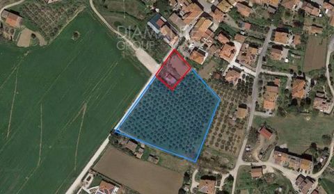 CASTIGLIONE DEL LAGO (PG), loc. Sanfatucchio: Large plot of land measuring approximately 9,000 square metres, partly buildable for an area of approximately 3,500 square metres with the possibility of constructing up to approximately 525 square metres...