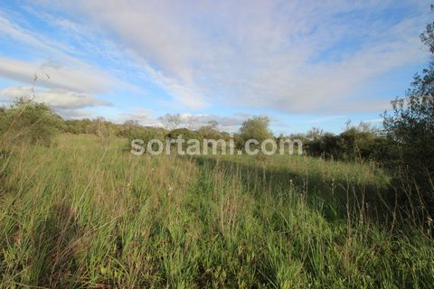 Fantastic rustic land with 24,080 m2, in Silves. This land has a special charm, with a privileged location and a stunning panoramic view. With such an extensive area, this land has many possibilities to develop different projects. Its location makes ...
