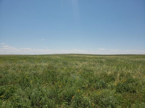 Location, Location, Location! Midway Grass 320 is an excellent grass pasture ready for you to build on, run livestock or both. This property has good access via a well-maintained county road, only 4.5 miles off US Hwy 34 and terrific views of the Sou...