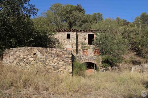 This ancient mill from the 12th century, one of the oldest in all of Catalonia, is perfect for renovation. It features a vaulted room, the roof has been renovated, and it is possible to build a large pool in the water retention pond that used to supp...
