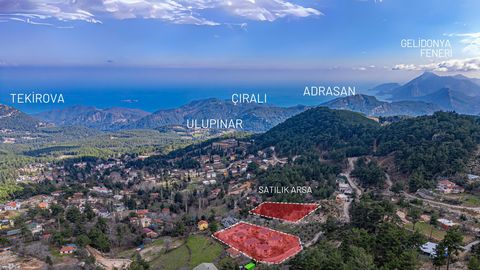 The villas are located amidst nature at the foot of the Taurus Mountains in Kemer, Bejik. Eight villas cover an area of 3,240 m2, offering magnificent sea views. A second plot of 3,460 m2 is situated nearby through the park, bringing the total area o...