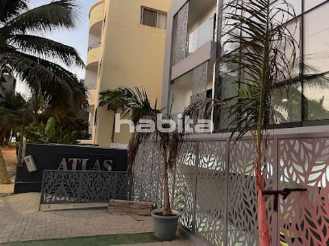 Become a tenant of this luxurious furnished apartment of 3 bedrooms each with a bathroom, a living room, and a fully equipped kitchen, including a washing machine in the laundry room, with an equipped swimming pool. Buy this apartment with a private ...