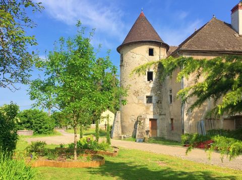 En exclusivité - sur la commune d'Arthaz Pont Notre Dame, découvrez le Château de Baudry, lieu emblématique de notre région. Ce château bâti au XVI siècle, d'environ 600m2 offre un très grand potentiel. La propriété est accompagnée d'une grange d'env...