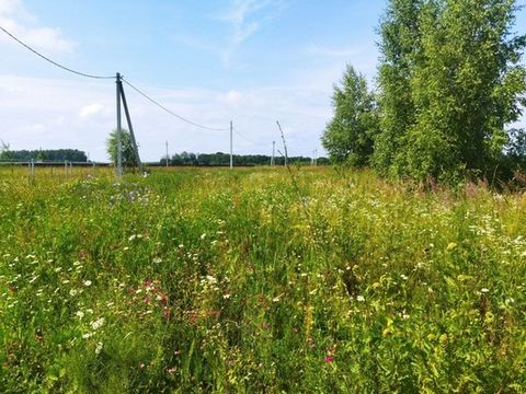 Продается участок 10 соток ИЖС в Ясногорском районе Тульской области,в деревне Белугино. Дачный поселок располагается в 99 км от Москвы. До поселка можно добраться как по Симферопольскому так и по Каширскому шоссе. Участок в окружении соснового бора....