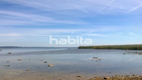 Properties with exceptionally beautiful coastline and building rights on the island of Saaremaa, Estonia. This is a paradise for nature lovers; suitable for birdwatching, hunting, fishing, yachting, mushroom and berry picking.https://xgis.maaamet.ee/...