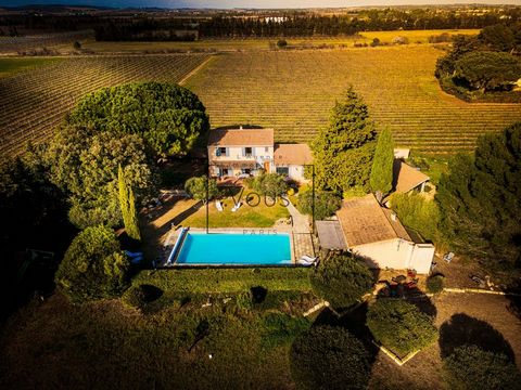 In the Gard, between Costières and Camargue, the commune of Saint-Gilles is located in the middle of vineyards, fruit trees and rice fields. It is close to the splendid natural areas of the Camargue, the Scamandre pond and the salt marshes of the sou...