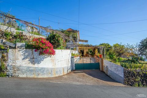 Located in Santa Cruz. This charming 2+1 bedroom villa, built in 1977, is located in the picturesque Lombada area of Santa Cruz. With a personal touch, this villa can become a true modern treasure, waiting for a renovation reflecting your style and p...