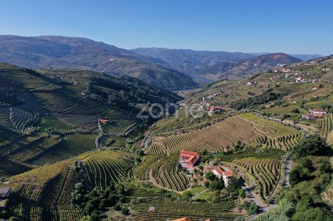 Identificação do imóvel: ZMPT565529 Welcome to Quinta de Cima in Vila Cova, set in the stunning landscapes of the Douro wine region. Mesão Frio is an idyllic hideaway in the heart of the Douro vineyards, home to a charming quinta that conveys a sense...