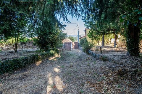 Description THIS DREAM FARM AWAITS YOU! Located in the Suengas area, in the parish of Vilar de Besteiros, this wonder of Nature, with feasibility of construction and fully fenced, is a true haven of well-being. There are 3,120m² of vineyards, olive t...