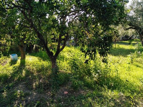 Rustic land measuring approximately 800m2, with two rural stone buildings and completely walled with an iron gate. A good option for those who want a small house to spend weekends and holidays, with the possibility of choosing the type of finishes. L...
