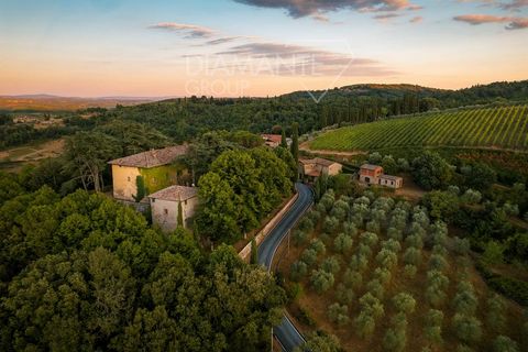 Radda in Chianti (SI): Organic wine-growing and wine-producing estate of approximately 100 hectares of land with Chianti Classico DOCG vineyard, wine cellar, medieval villa, agritourism and farmhouse divided as follows - 28 hectares of vineyard in pr...