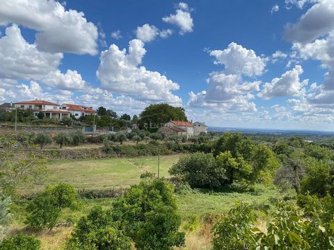 Fantastic farm with 21,300 m2. This farm, located in the center of the village of Alpedrinha, in front of the GNR post, is made up of several fruit trees, namely 400 centuries-old olive trees, some orange trees, fig trees and walnut trees. It feature...